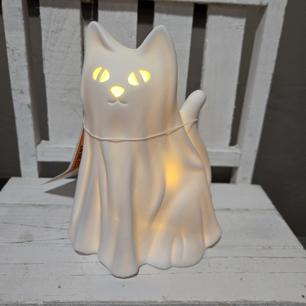 Light Up Ghost Cat